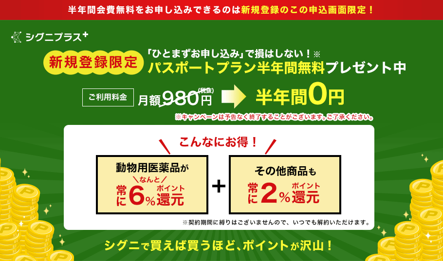 「ひとまずお申し込み」で損はしない!※パスポートプラン半年間無料プレゼント中