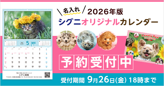 yVETzu[ybgJ_[2026@ʏ