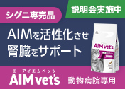 AIM vet's