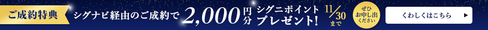 7/1~11/30VOiroR̂ŃVOj|Cg2,000~v[g