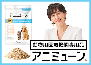HACHI@Aj~[Wy[W202507