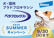 yVETzxtbNX2025SummerLy[