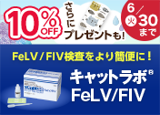 �yVET�z�L���b�g���{FeLV/FIV�@�t�̊��ӃL�����y�[��