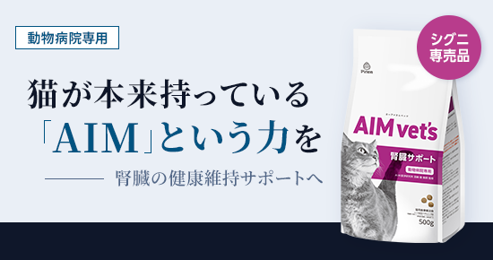 AIM vet's