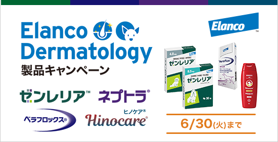 �yVET�z�G�����R�W���p���@Elanco Dermatology �L�����y�[��