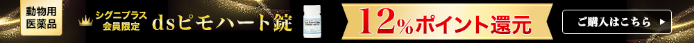 ds�s���n�[�g���|�C���g12���Ҍ��I