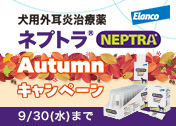 �yVET�z�G�����R�@�l�v�g��Autumn�L�����y�[���@2026