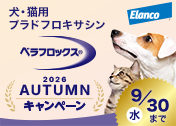 �yVET�z�G�����R�@�x���t���b�N�X�@2026 Autumn�L�����y�[��