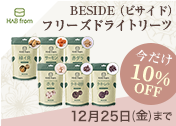 �yVET�z�n�[�g�����h BESIDE �f�r���[CP