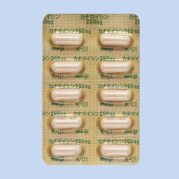�J�i�}�C�V���J�v�Z��250mg�u�����v