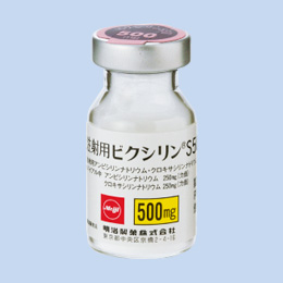 ���˗p�r�N�V����S500