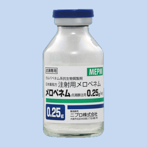�����y�l���_�H�Ò��p0.25g�uNP�v
