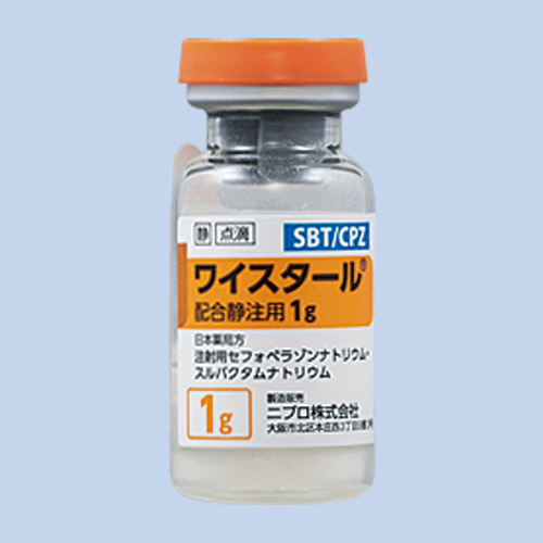���C�X�^�[���z���Ò��p1g