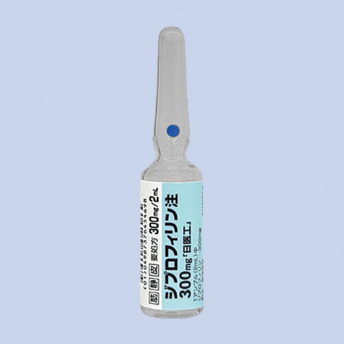 �W�v���t�B������300mg�u����H�v