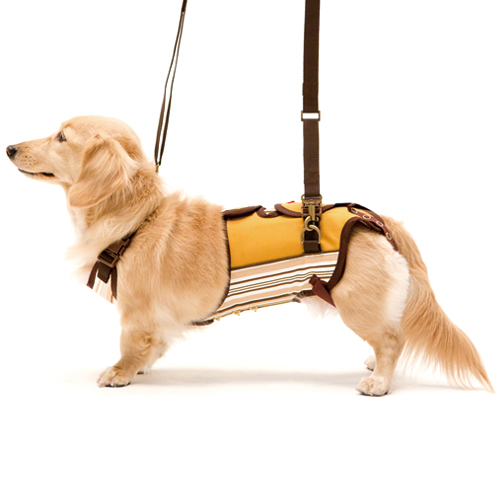 歩行補助ﾊｰﾈｽLaLaWalk小型犬･ﾀﾞｯｸｽ用ｻﾎﾟｰﾀｰﾊﾟｯﾄﾞ付