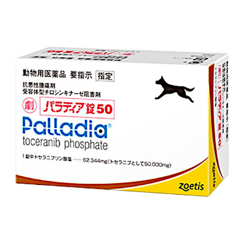 �p���f�B�A��50
