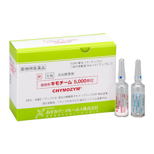 �����p�L���`�[��5000�P��