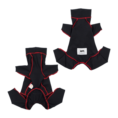 �畆�ی앞�X�L���E�G�A �v�� �_�b�N�X�p