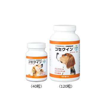 �R�Z�N�C���^�u���b�g120