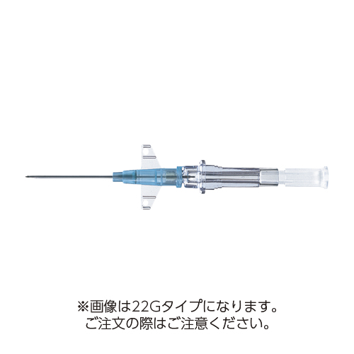 �C���T�C�g