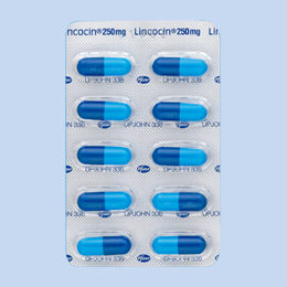 �����R�V���J�v�Z��250mg