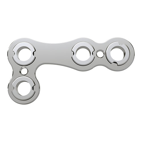 Fixin mini L^v[g