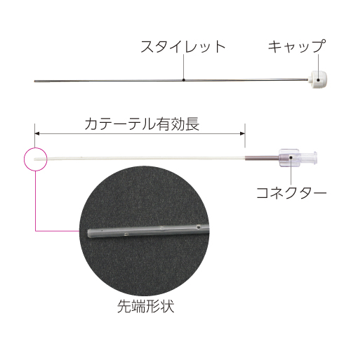 �牺�A�t�J�e�[�e��