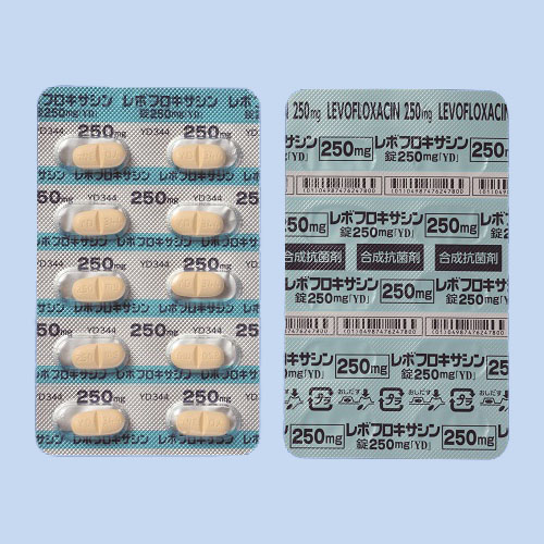���{�t���L�T�V����250mg�uYD�v