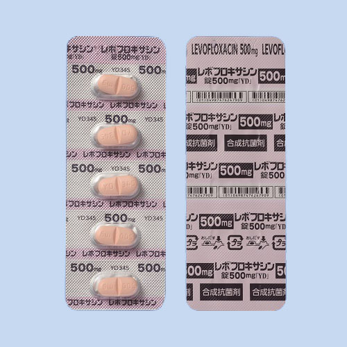 ���{�t���L�T�V����500mg�uYD�v