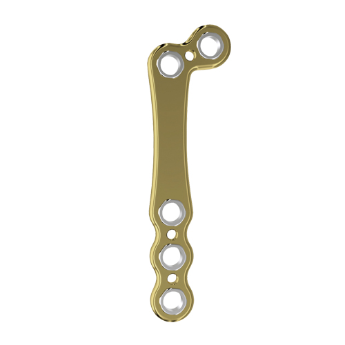 Fixin micro L�^�v���[�g