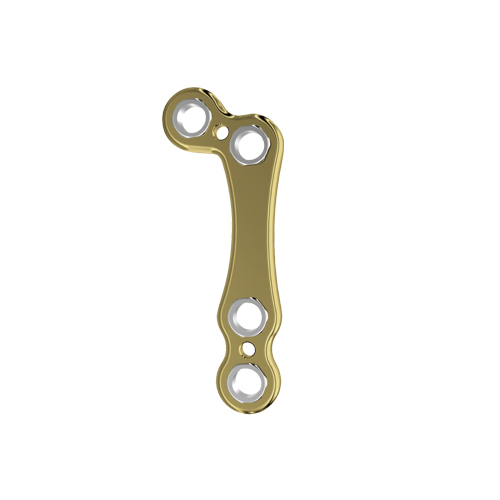 Fixin micro L�^�v���[�g