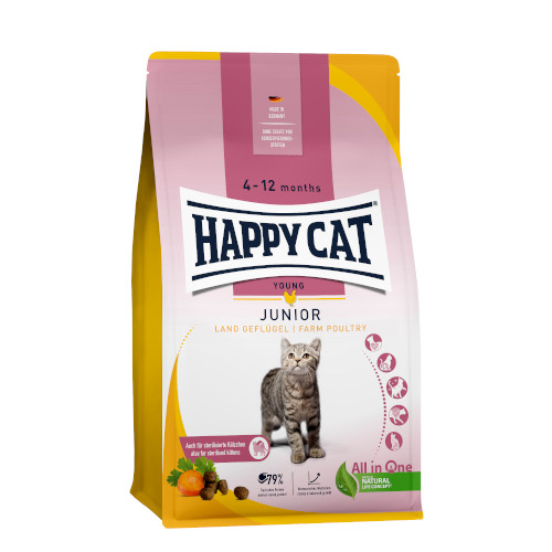 �n�b�s�[�L���b�g�@�����O�@�W���j�A�t�@�[���|���g���[�i�������`�L���j4kg