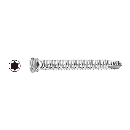 VP ۯ�ݸ޽�ح� 2.7 LCP ST AN