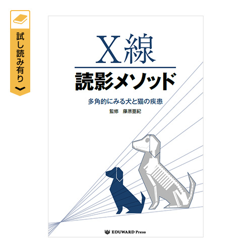 �y�V�K�o�^����zX���ǉe���\�b�h�@���p�I�ɂ݂錢�ƔL�̎���