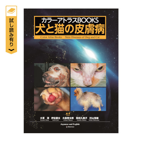 �y�V�K�o�^����z�J���[�A�g���XBOOKS  ���ƔL�̔畆�a�y�a�p���L�z