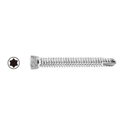 VP�@���b�L���O�X�N�����[ 3.5 LCP ST AN