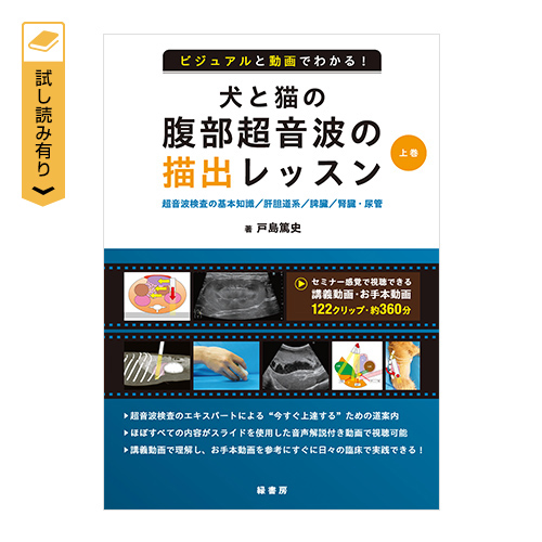 �y�V�K�o�^����z�r�W���A���Ɠ���ł킩��I���ƔL�̕��������g�̕`�o���b�X���@�㊪