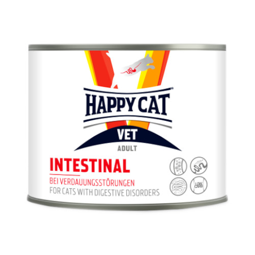 ʯ�߰���ā@VET�C���e�X�e�B�i��(������P�A) �E�F�b�g��