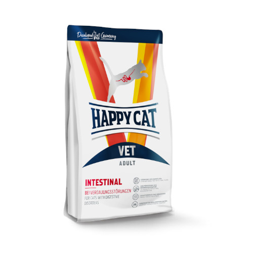 ʯ�߰���ā@VET�C���e�X�e�B�i��(������P�A) �h���C