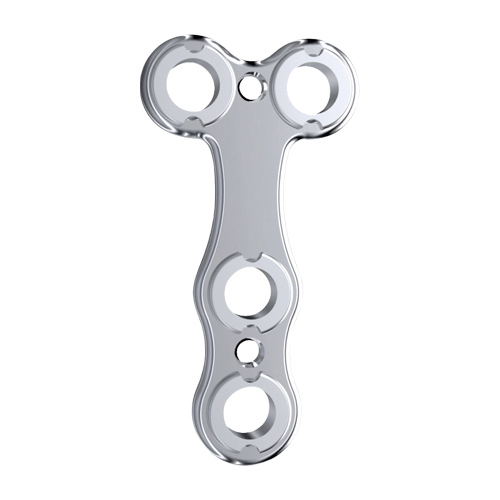 Fixin mini T^v[g