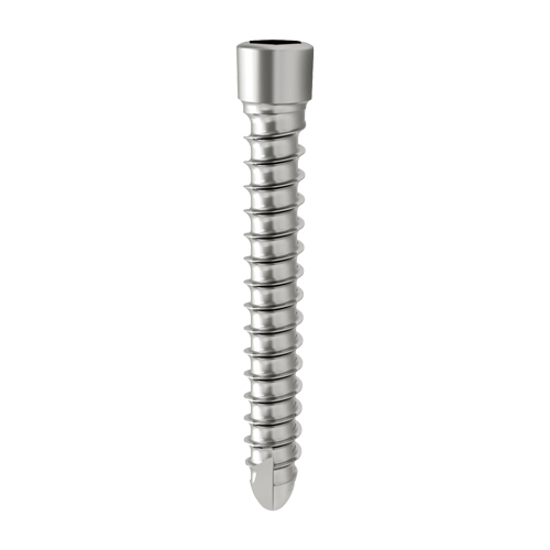 Fixin mini XN[2.5mm