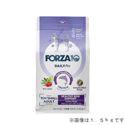 Forza10 Daily Pro A_g~j wV[XL
