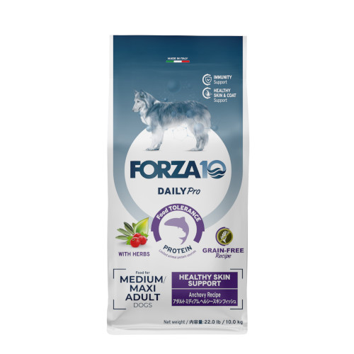 Forza10 Daily Pro A_g~fBA wV[XL