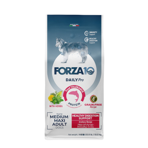 Forza10 Daily Pro A_g~fBA wV[_CWFX`