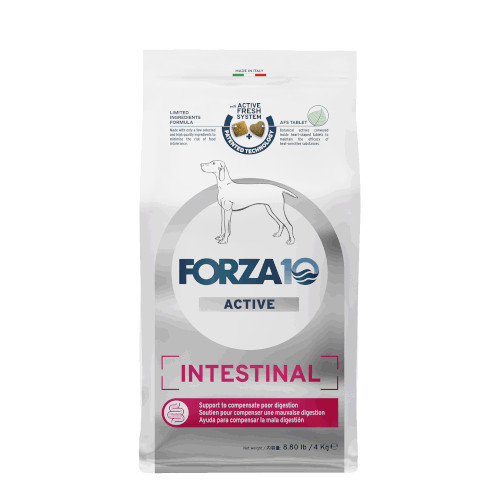 Forza10 CeXeBiANeBu ~fBA