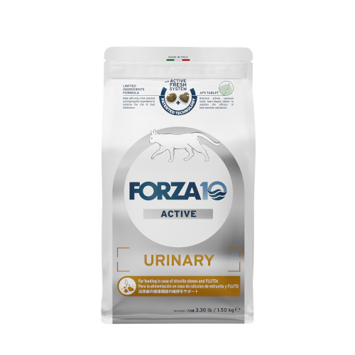 Forza10 Ei[ANeBu Lbg