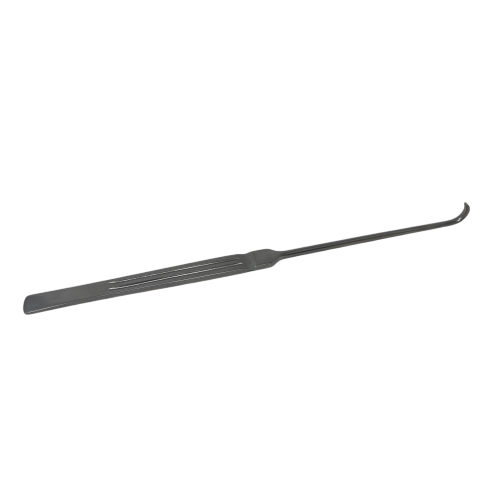 ݂ob p RChnhʌ