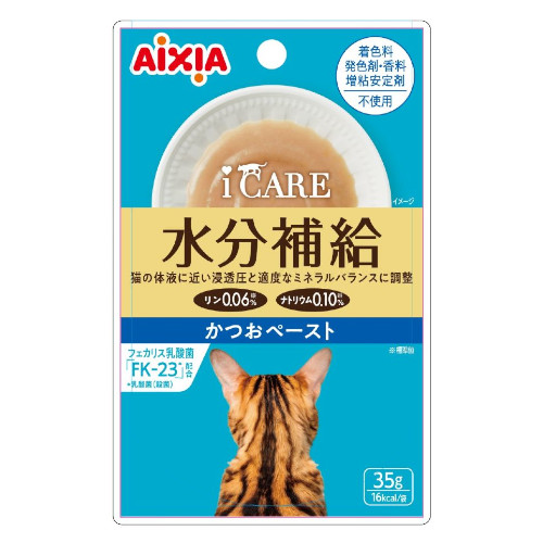 ICARE@⋋@y[Xg