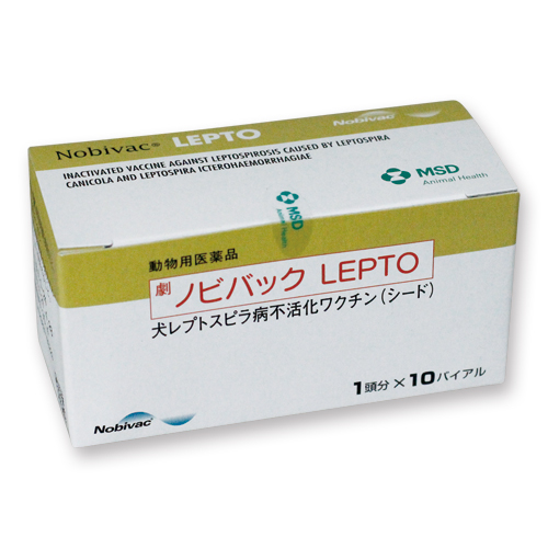 �m�r�o�b�NLEPTO