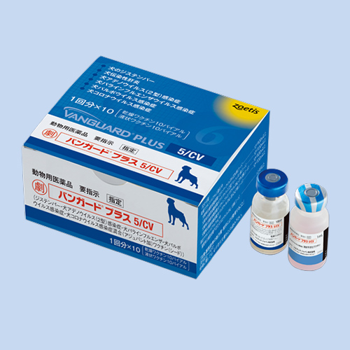 �o���K�[�h�v���X5/CV